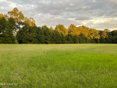 IMG_0010