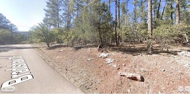 110 Bradshaw Dr, Pine, AZ 85544 - photo 3