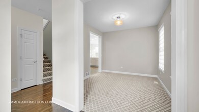 928 Case St, Naperville, IL 60563 - photo 6