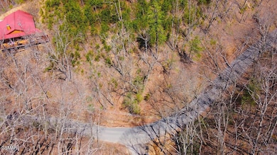 DJI_0368