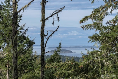 0 Cady Mountain Rd unit NWM2359002, San Juan Island, WA 98250 - photo 2