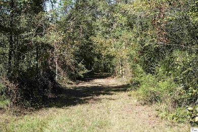 0A Anderson Rd, Choudrant, LA 71227 - photo 5