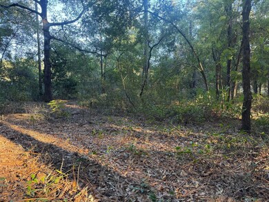 0 SW 66 St unit MFROM714495, Ocala, FL 34481 - photo 3