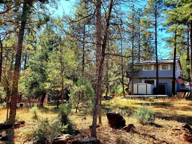 6871 W Brokaw Ln, Pine, AZ 85544 - photo 3