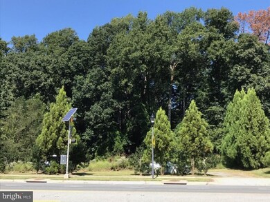 905 Montrose Rd, Rockville, MD 20852 - photo 2