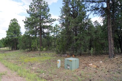 Tall Pines on Lot