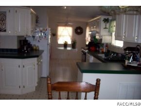 3905 N Calumet Terrace, Hernando, FL 34442 - photo 6