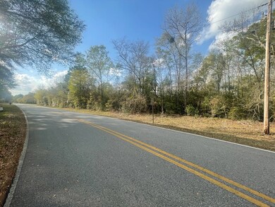 Paved Road View across from Lot