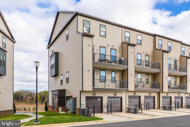 22504 Wilson View Terrace, Ashburn, VA 20148 - photo 3