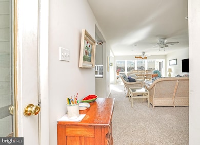 24 Maiden Ln, Harvey Cedars, NJ 08008 - photo 6