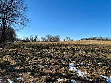 IMG_2781