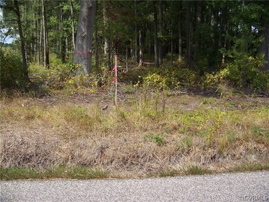 Looking into timber stand at south east corner.