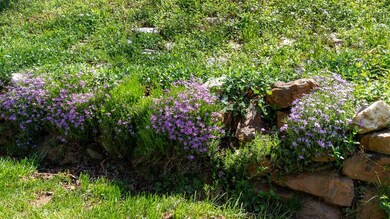 2291 Ruby Mine Rd, Franklin, NC 28734 - photo 7