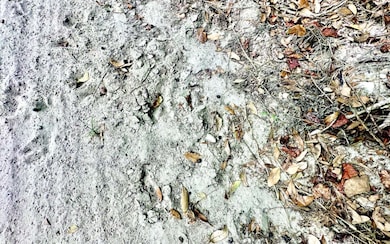 TBD NE Sage Rd, Mayo, FL 32066 - photo 7