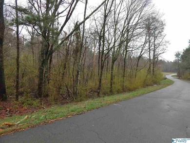 0 Randles Rd unit 1113269, Grant, AL 35747 - photo 2