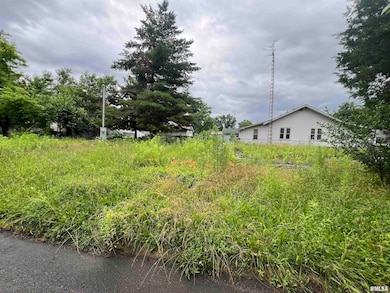 218 Elm St, Zeigler, IL 62999 - photo 2