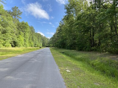 Road View