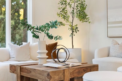 2937 San Juan Blvd, Belmont, CA 94002 - photo 4