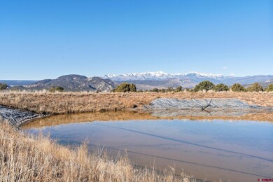 1155 County Road 301, Durango, CO 81303 - photo 5