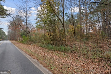 231 Buncombe-Waco Rd, Waco, GA 30182 - photo 2