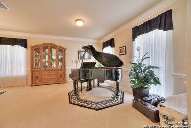 10503 Cenizo Field, Helotes, TX 78023 - photo 7