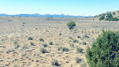 0 W Prescott Ranch Rd unit 1019858, Paulden, AZ 86334 - photo 3