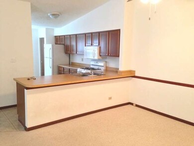 536 Fessler Ave, Naperville, IL 60565 - photo 4