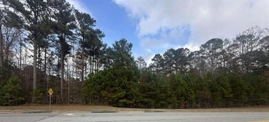 0 Hilo Rd unit 7684427, Fayetteville, GA 30215 - photo 7