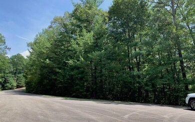 LT 10 Dover Highlands Trail, Ellijay, GA 30540 - photo 2