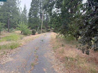4227 Meadow View Rd, Forest Meadows, CA 95247 - photo 3