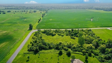 12415 W Bruce Rd, Mokena, IL 60448 - photo 6