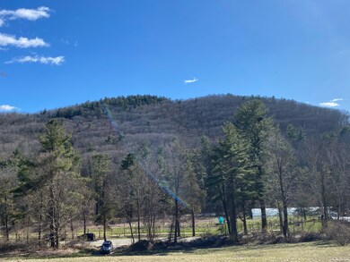 198-4 Beebe Hill Rd, Canaan, CT 06031 - photo 7