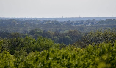 Tbd Fm 51, Decatur, TX 76234 - photo 5