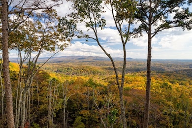 0 John Call Rd unit 420371, Talking Rock, GA 30175 - photo 2