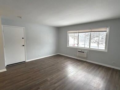 1110 W 18th St unit 1E, Broadview, IL 60155 - photo 2