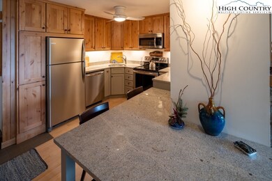 161 Skyleaf Dr unit E19, Sugar Mountain, NC 28604 - photo 7