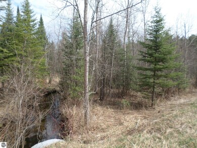 0 S Campbell Rd, West Branch Township, MI 48661 - photo 2