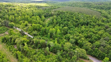 0 Shady Grove Rd unit 25018731, Shirley, AR 72153 - photo 6