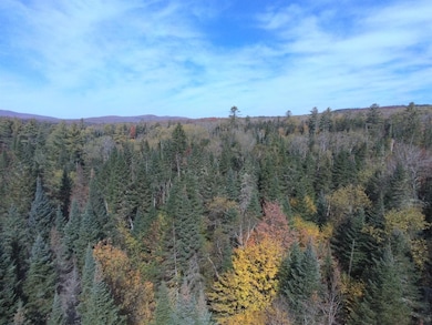 0 Thomas Rd unit 32.1 5052957, Lunenburg, VT 05906 - photo 2