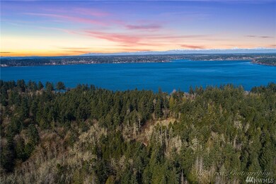 0 Otso Point Rd unit 1609342, Anderson Island, WA 98303 - photo 4