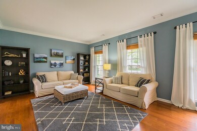 7035 Bedrock Rd, Alexandria, VA 22306 - photo 6