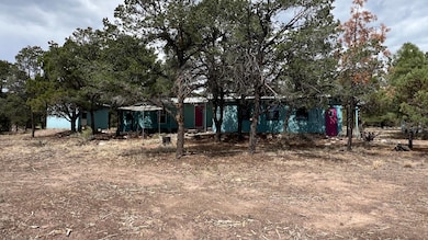 139 Homestead Trail, Datil, NM 87821 - photo 2