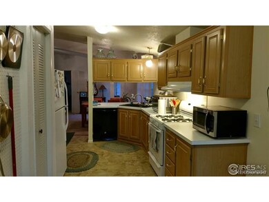 431 Zante Way, Lochbuie, CO 80603 - photo 4