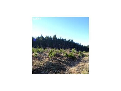 23495 Gooseneck Rd, Sheridan, OR 97378 - photo 4