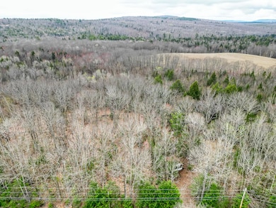 TBD Chipmunk Ln, Hartland, ME 04943 - photo 3