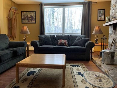 C-12 Sportscenter Village Way unit C-12, Dover, VT 05356 - photo 5