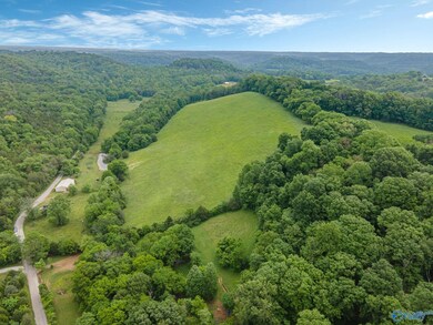 305 Ingram Rd, Pulaski, TN 38478 - photo 6