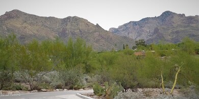 Pusch Ridge from Front Patio