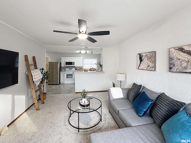 1336 W 38th Place, Davenport, IA 52806 - photo 4