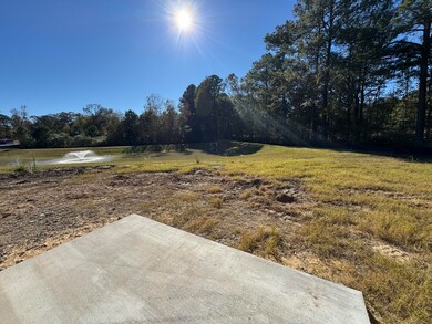 View from back Patio!
